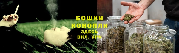 apvp Надым
